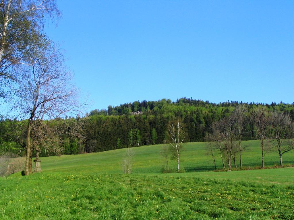 Roubenka Elisabeth Hotel Jablonné nad Orlicí Eksteriør billede